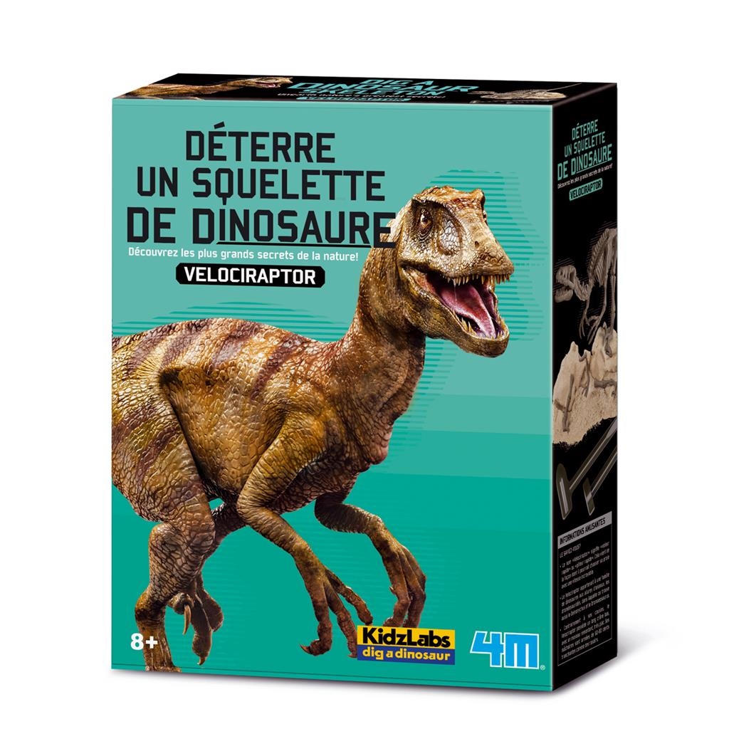 5414561466277-4m-deterre-ton-dinosaure-velociraptor