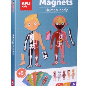 8410782185314-jeu-magnetique-corps-humain
