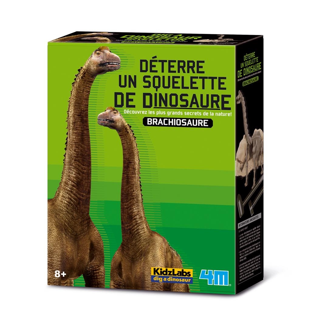 5414561466055-4m-deterre-ton-dinosaure-brachiosaure