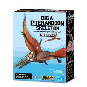 4893156034595-4m-deterre-ton-dinosaure--pteranodon