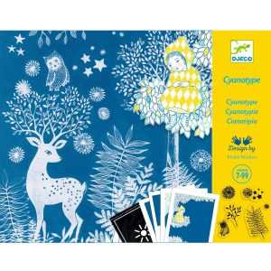 3070900093423-cyanotype---au-clair-de-la-lune