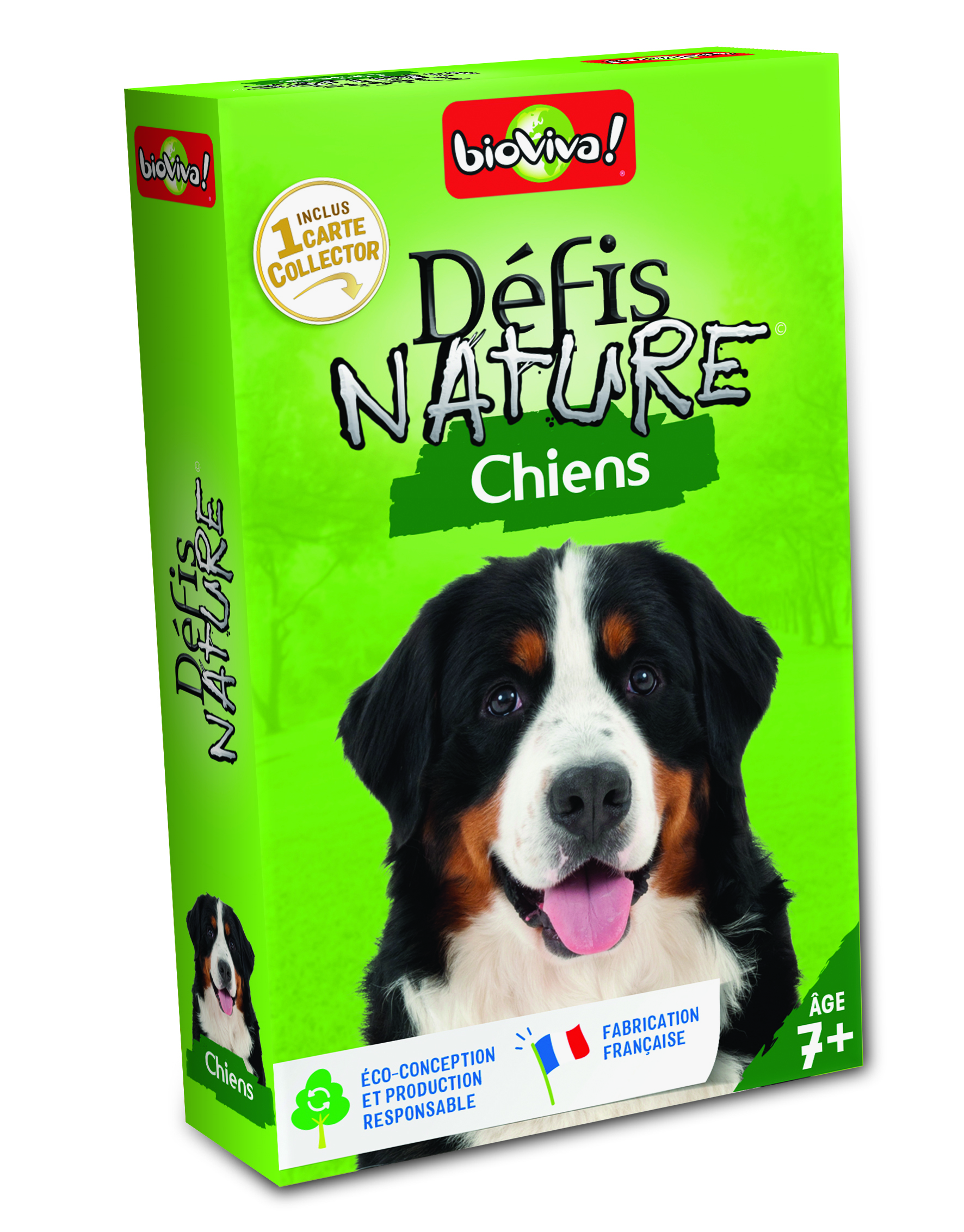 3569160282659-defis-nature---chiens