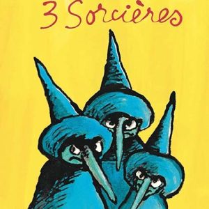 9782211061445-3-sorcieres