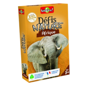 3569160280075-afrique