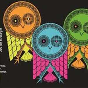 3070900051904-hiboufou