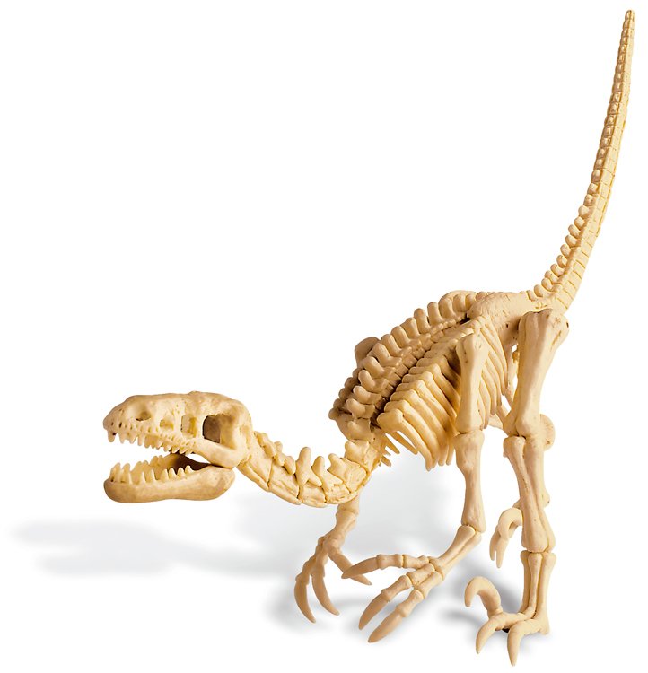 5414561466277-4m-deterre-ton-dinosaure-velociraptor