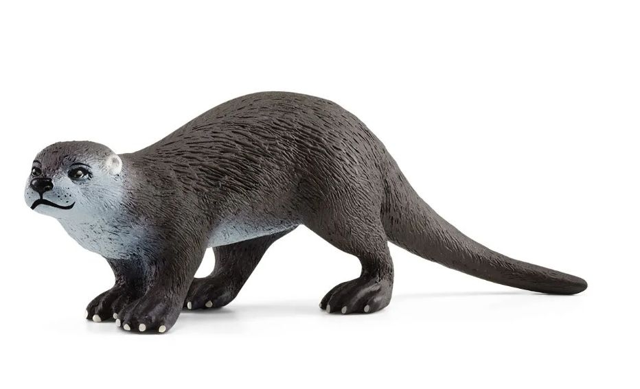 4059433543772-loutre---wild-life