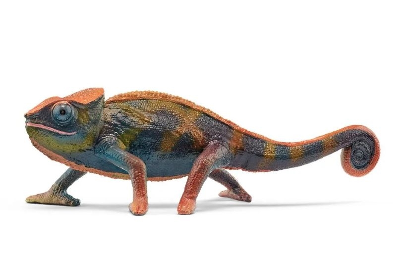 4059433532318-cameleon---wild-life