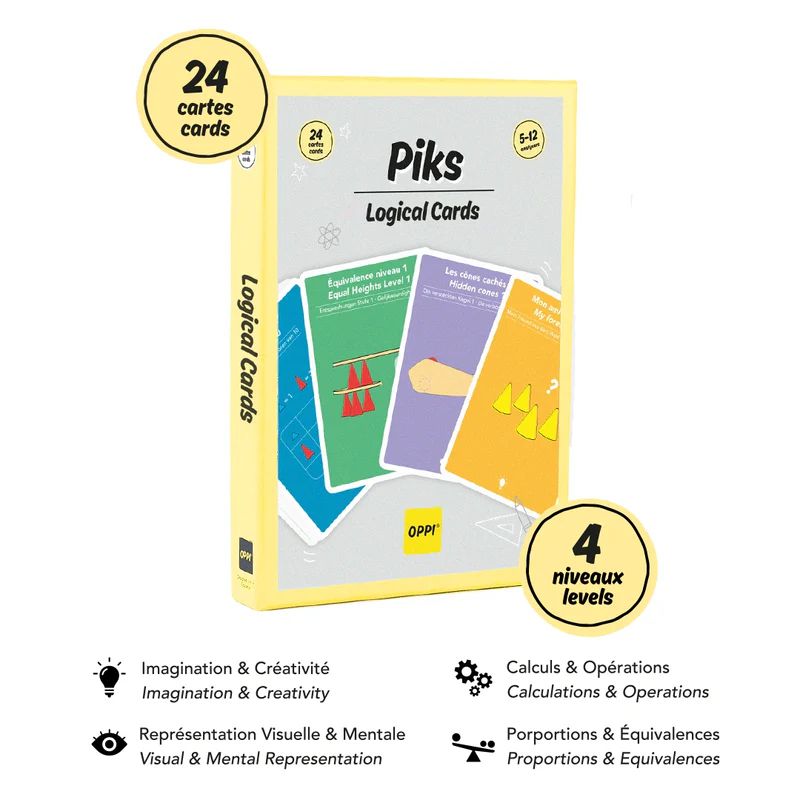 3770012737313-piks---cartes-logiques