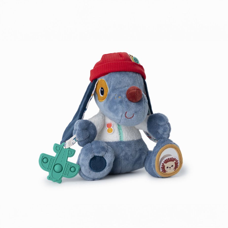 5414834835540-jules---chien-multi-activites