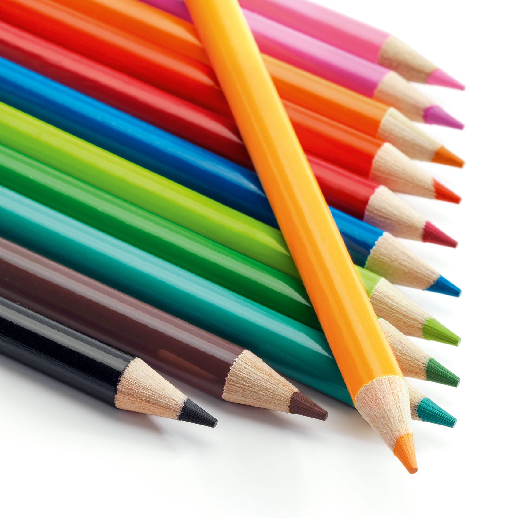 3070900088245-12-crayons-aquarellables