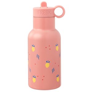 8720874459637-gourde-isotherme---fruits-dete-500-ml