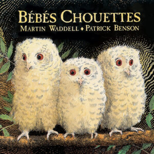 9782877678612-bebes-chouettes