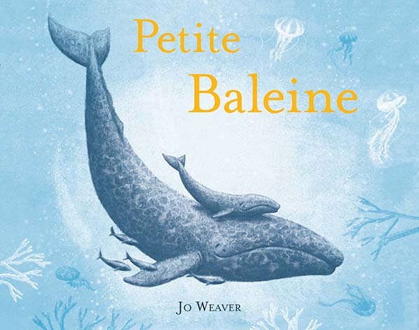 9782211001168-petite-baleine