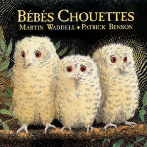 9782211017718-bebes-chouettes