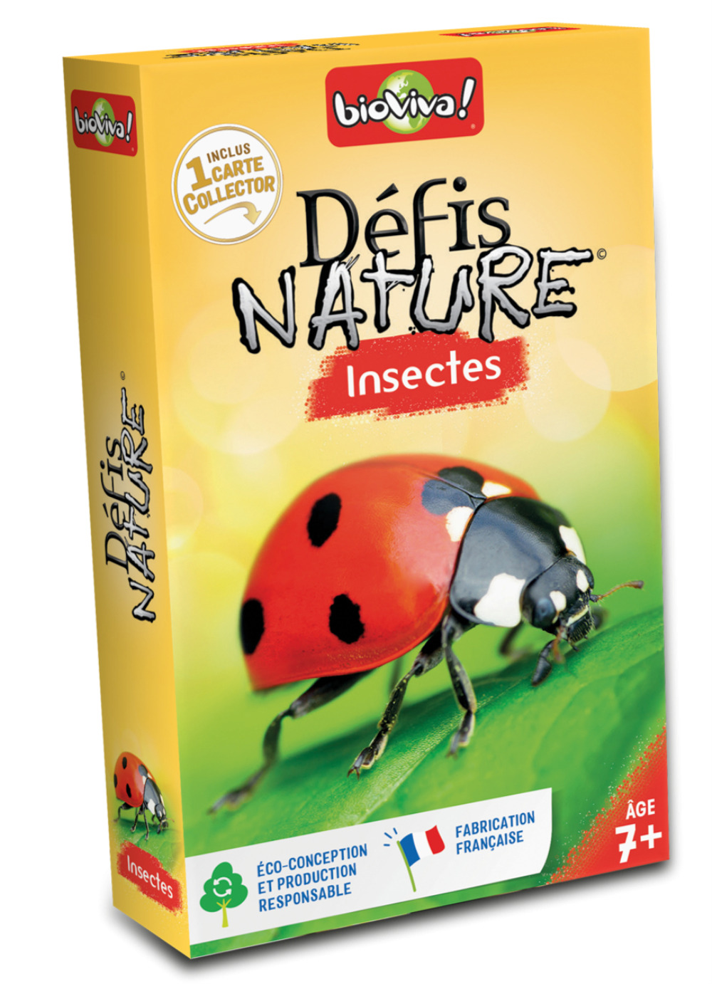3569160280006-insectes
