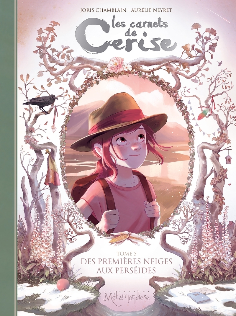 9782302064928-les-carnets-de-cerise---tome-05-des-premieres-neiges-aux-perseides
