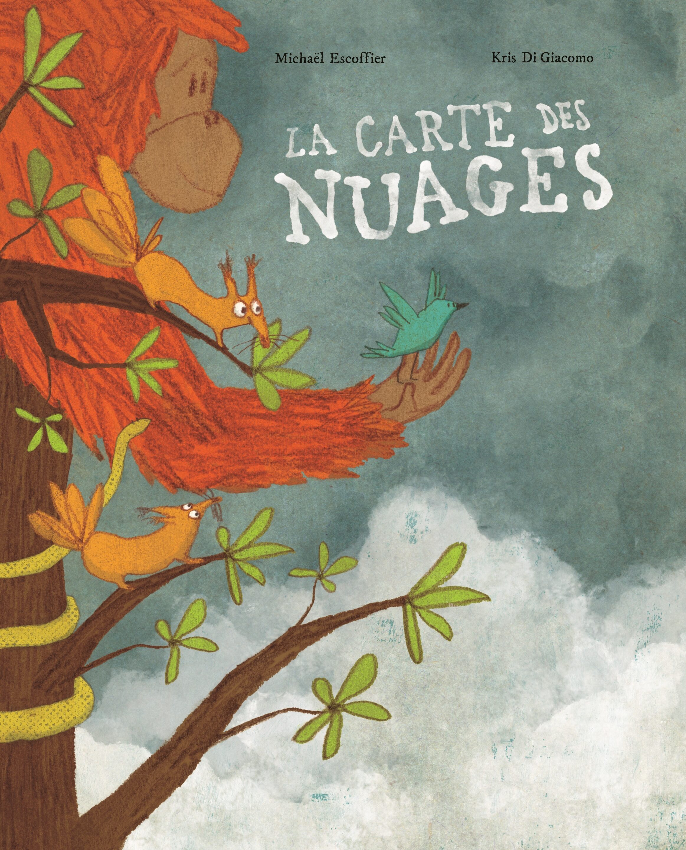 9782378880491-carte-des-nuages-la