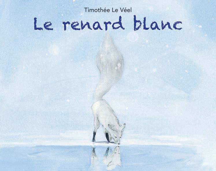 9782211310017-le-renard-blanc