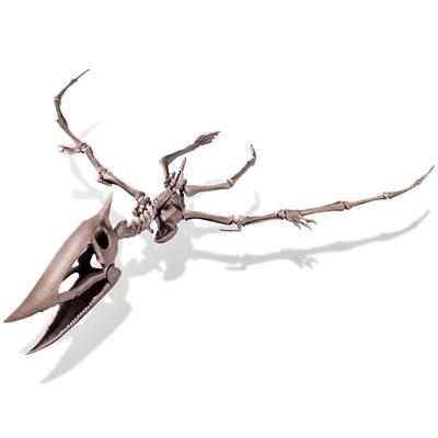 4893156034595-4m-deterre-ton-dinosaure--pteranodon