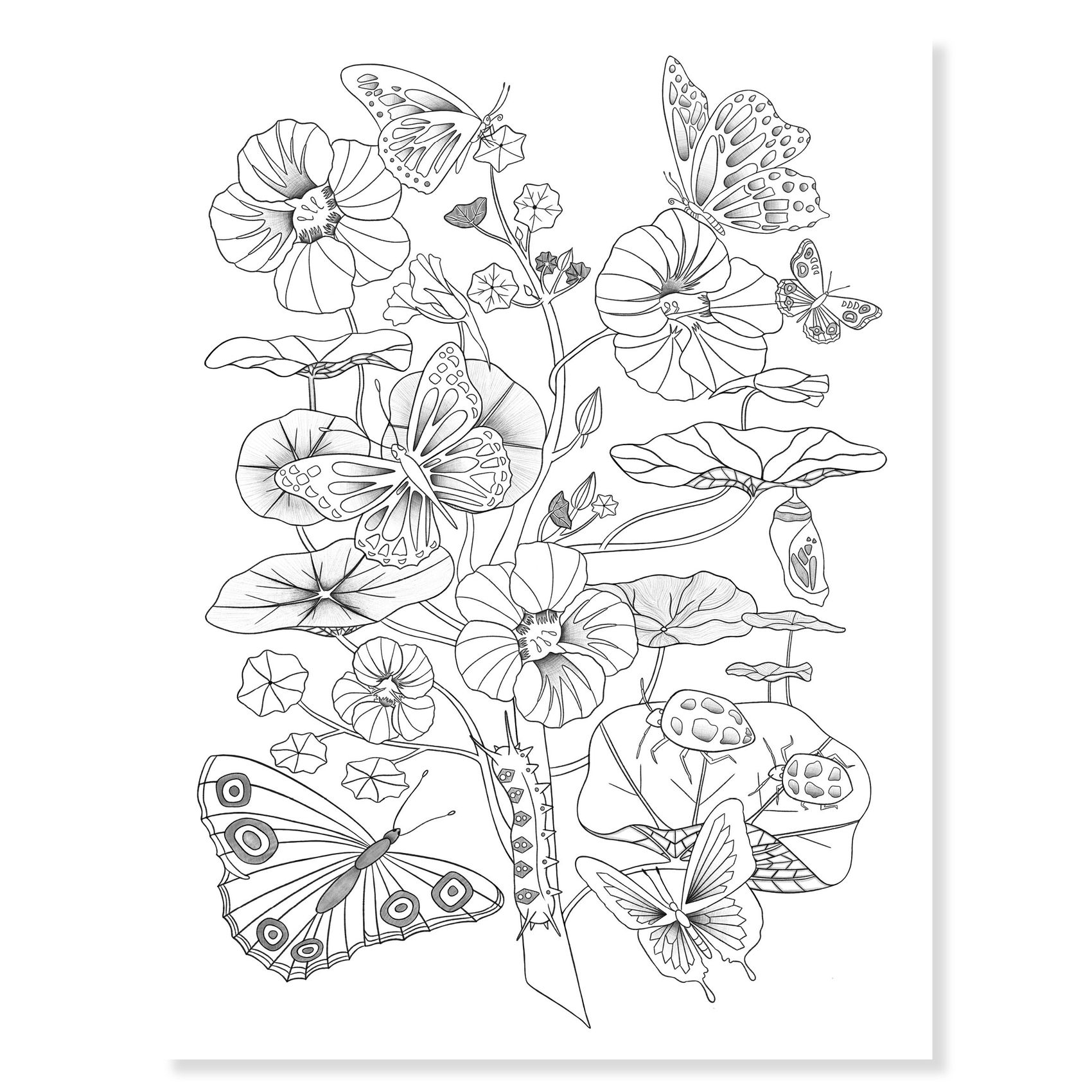 3070900086968-colouring-gallery---naturaliste