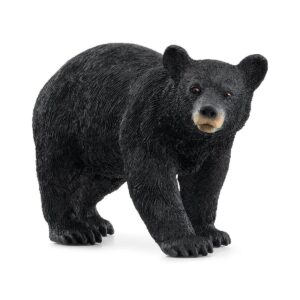 4059433789415-ours-noir-damerique
