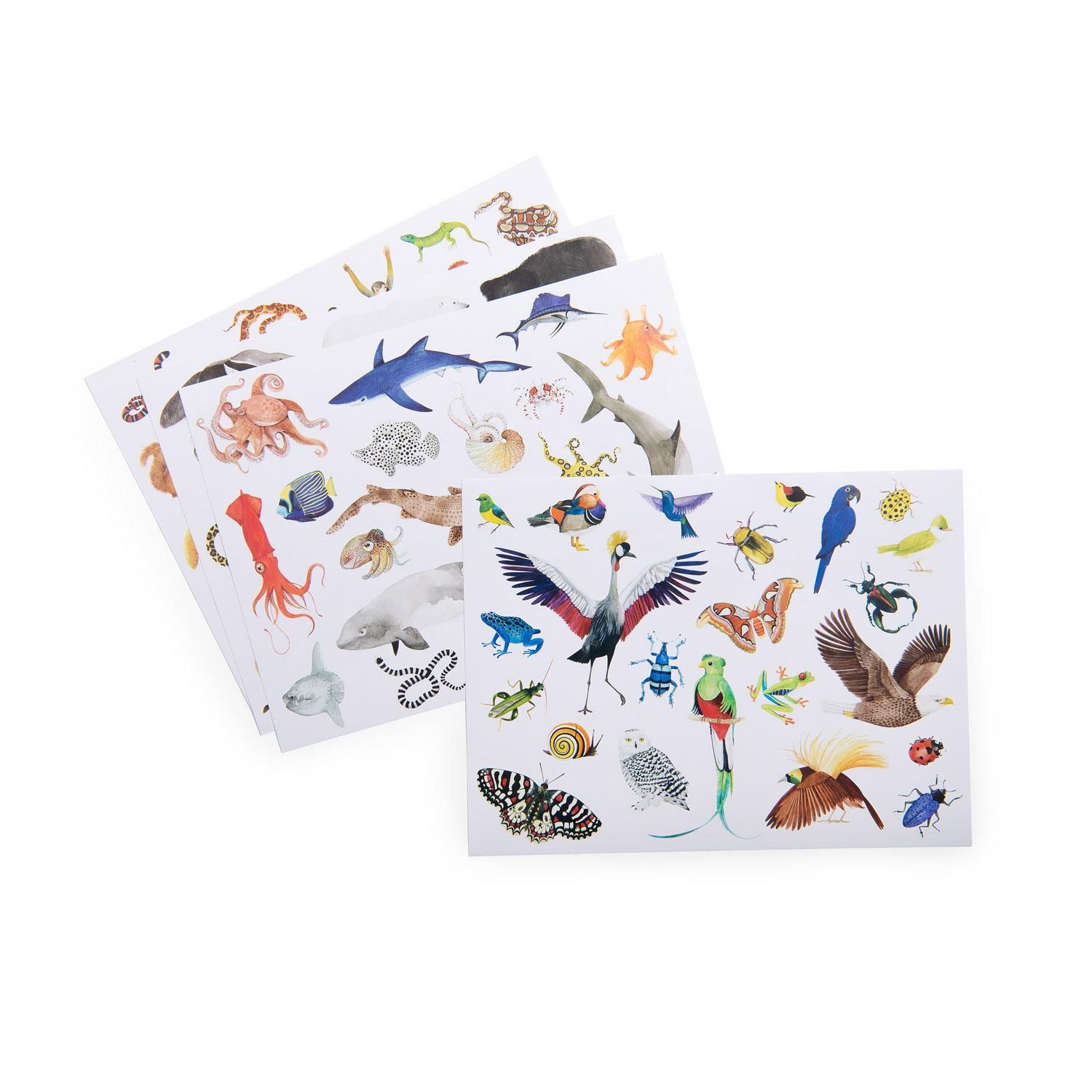 3575677191896-pochette-78-stickers---tout-autour-du-monde