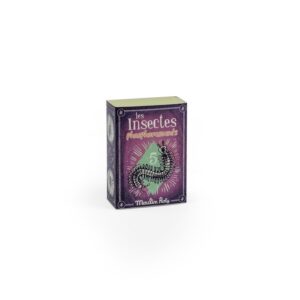 3575677113935-5-insectes-phosphorescents---les-petites-merveilles