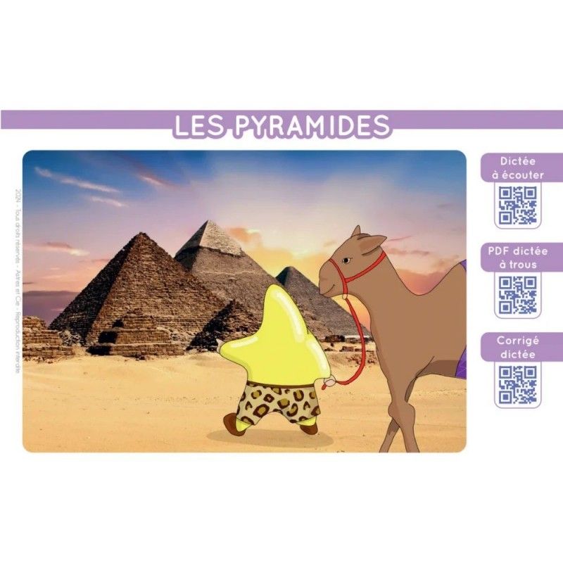 9782494341067-chevalet-etoilium-ce2-cm1-cm2---champion-de-dictee-