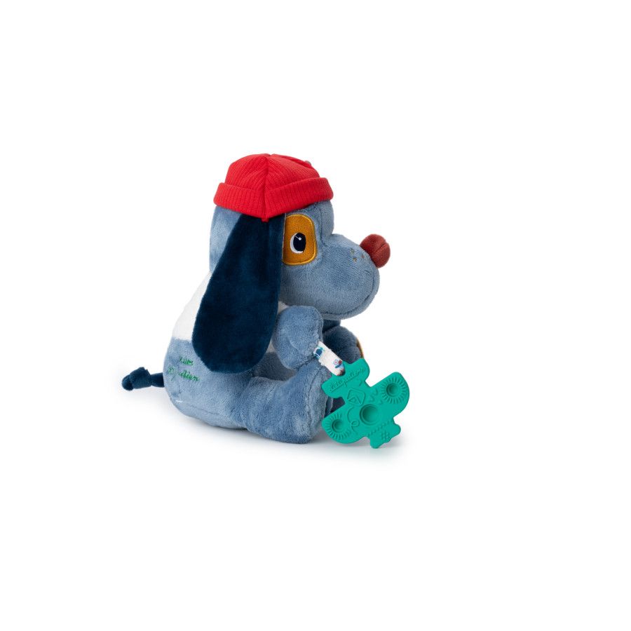 5414834835540-jules---chien-multi-activites