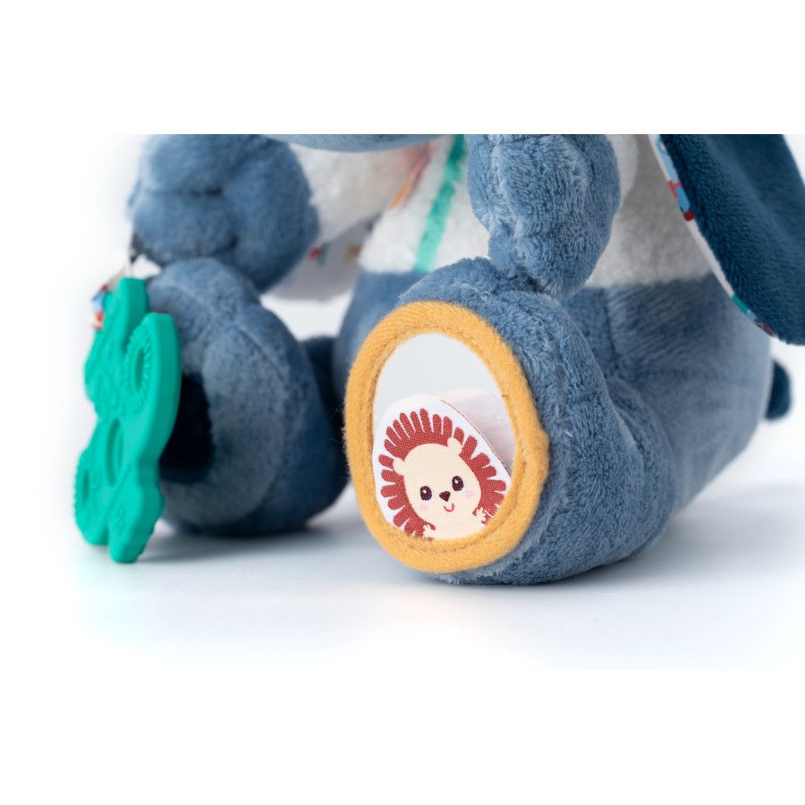 5414834835540-jules---chien-multi-activites