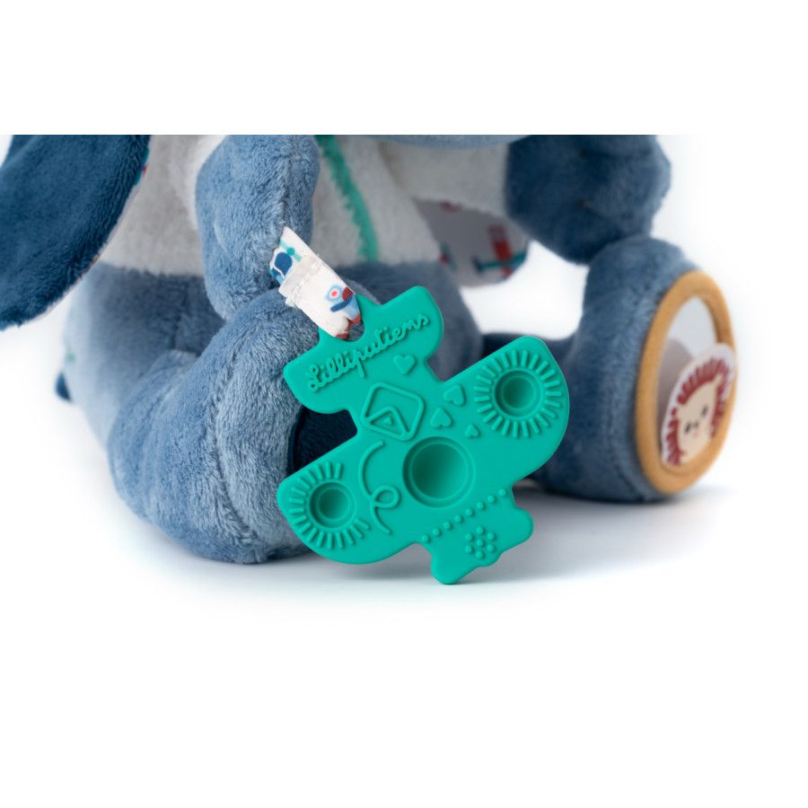 5414834835540-jules---chien-multi-activites