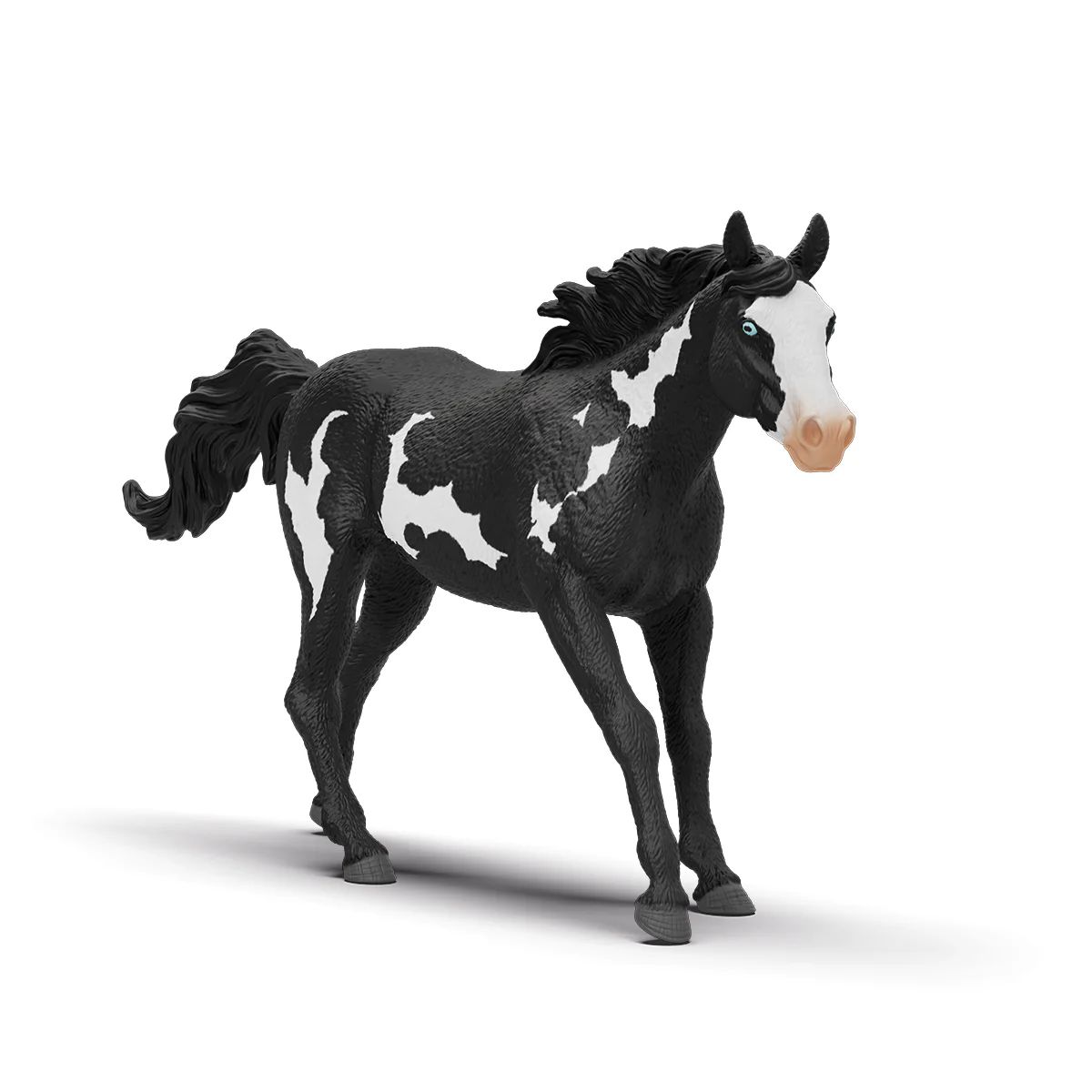 4059433770444-hongre-paint-horse---horse-club
