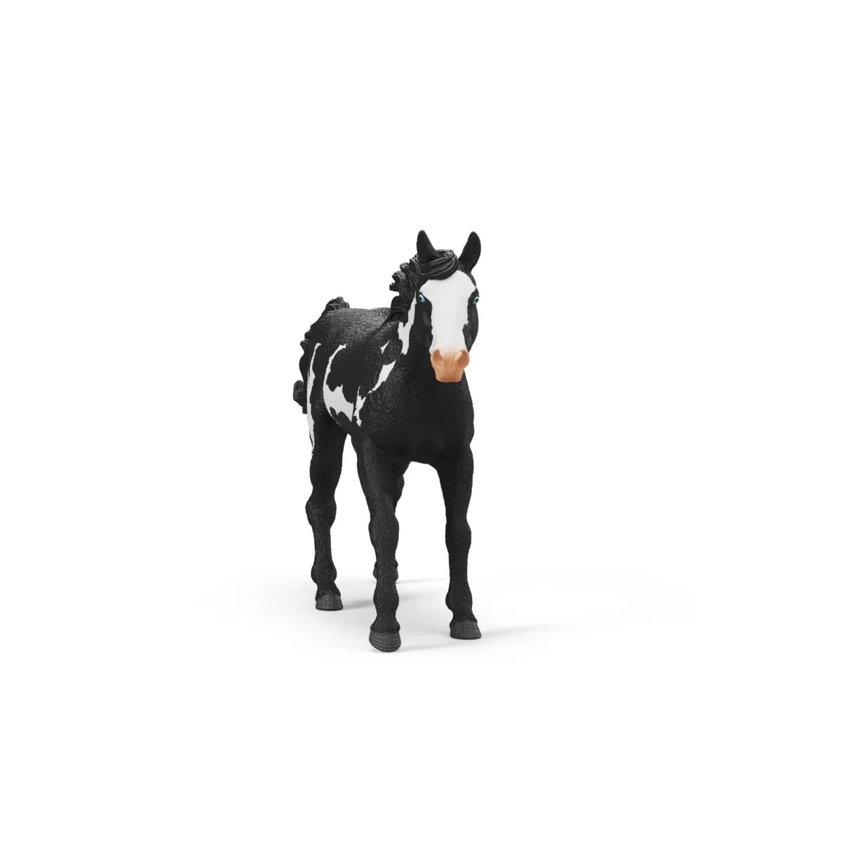 4059433770444-hongre-paint-horse---horse-club