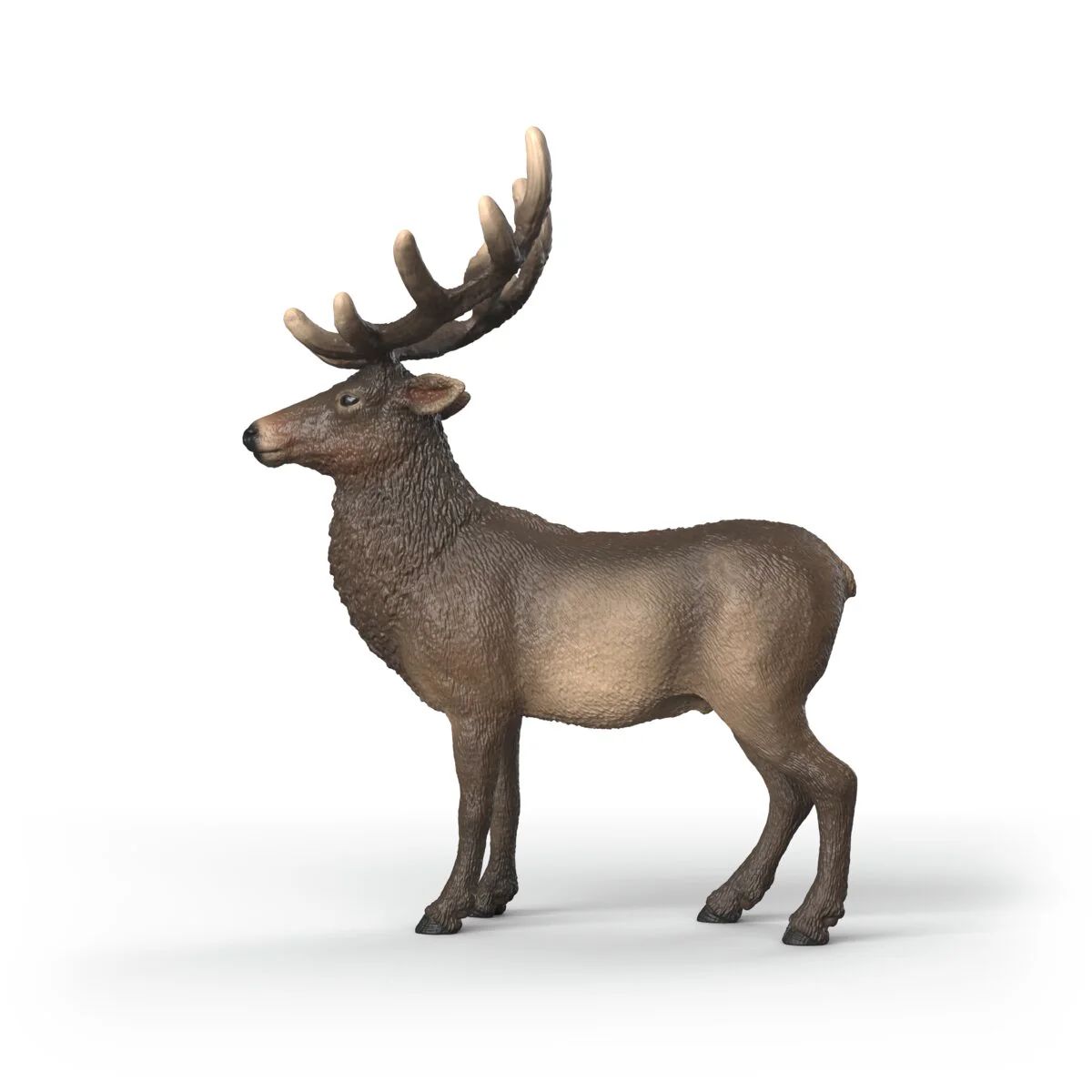 4069111447452-schleich-elan-damerique--figurine-animal-sauvage-des-3-ans