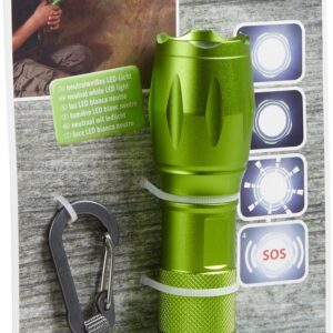 4010168249421-terra-kids---lampe-de-poche