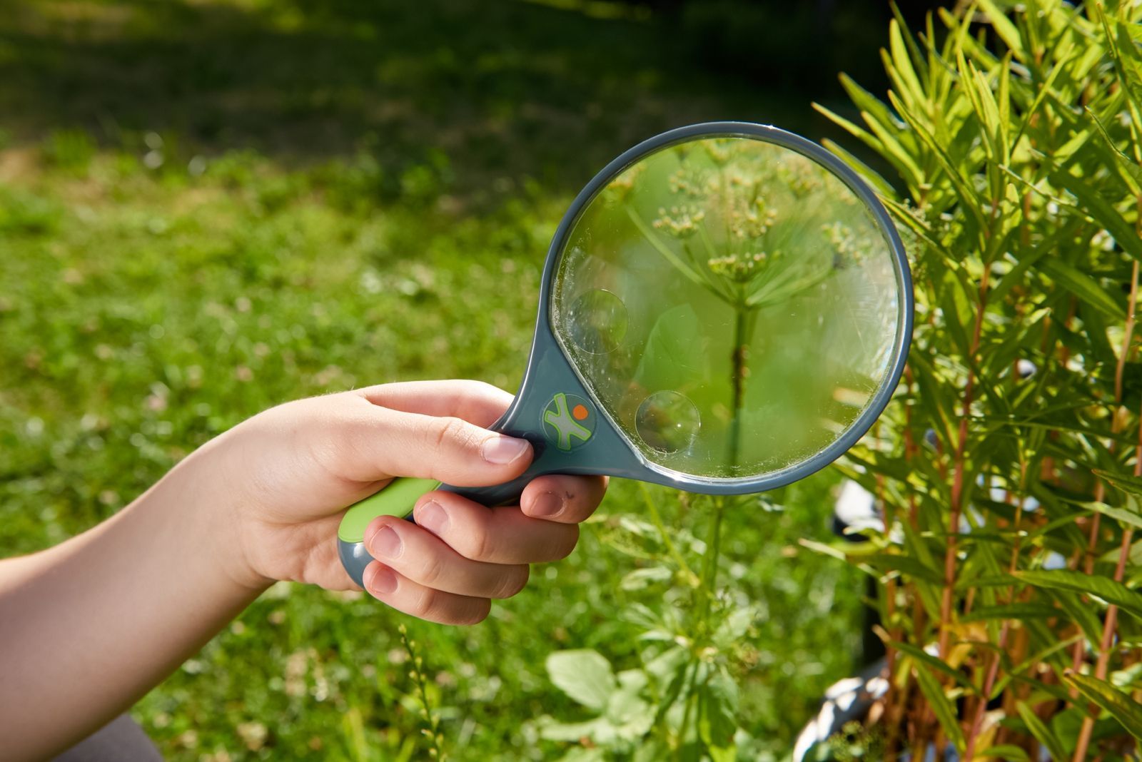 4010168232997-terra-kids---loupe-pour-enfants