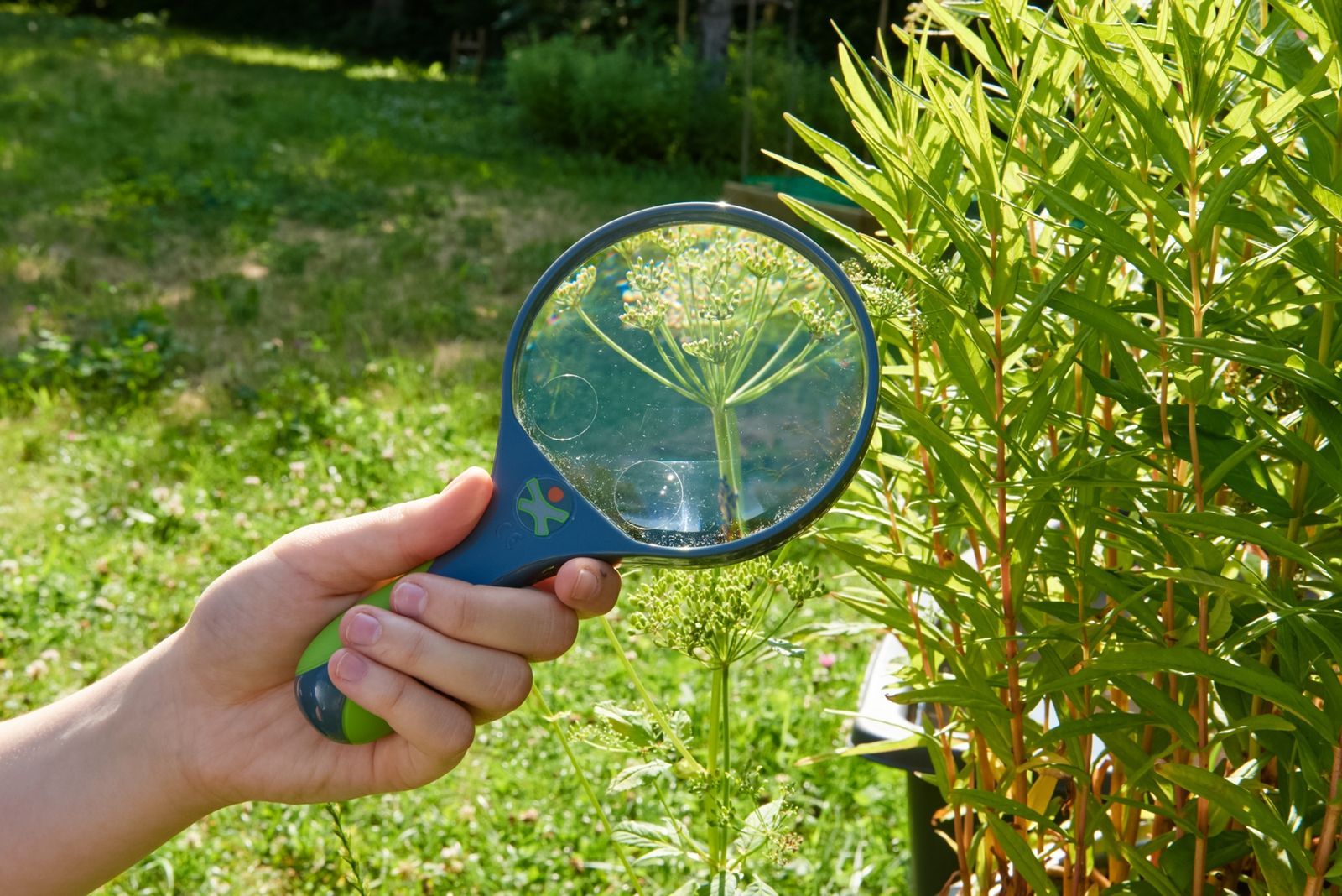 4010168232997-terra-kids---loupe-pour-enfants