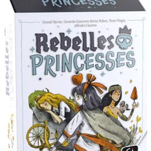 3421277100212-rebelles-princesses--jeu-de-plis-original-et-familial-des-8-ans