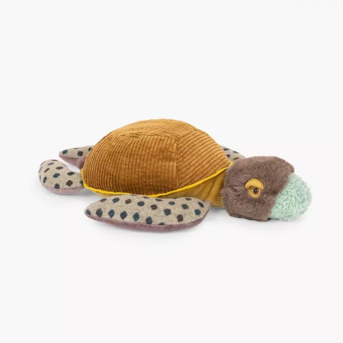 3575677190288-petite-tortue--tout-autour-du-monde