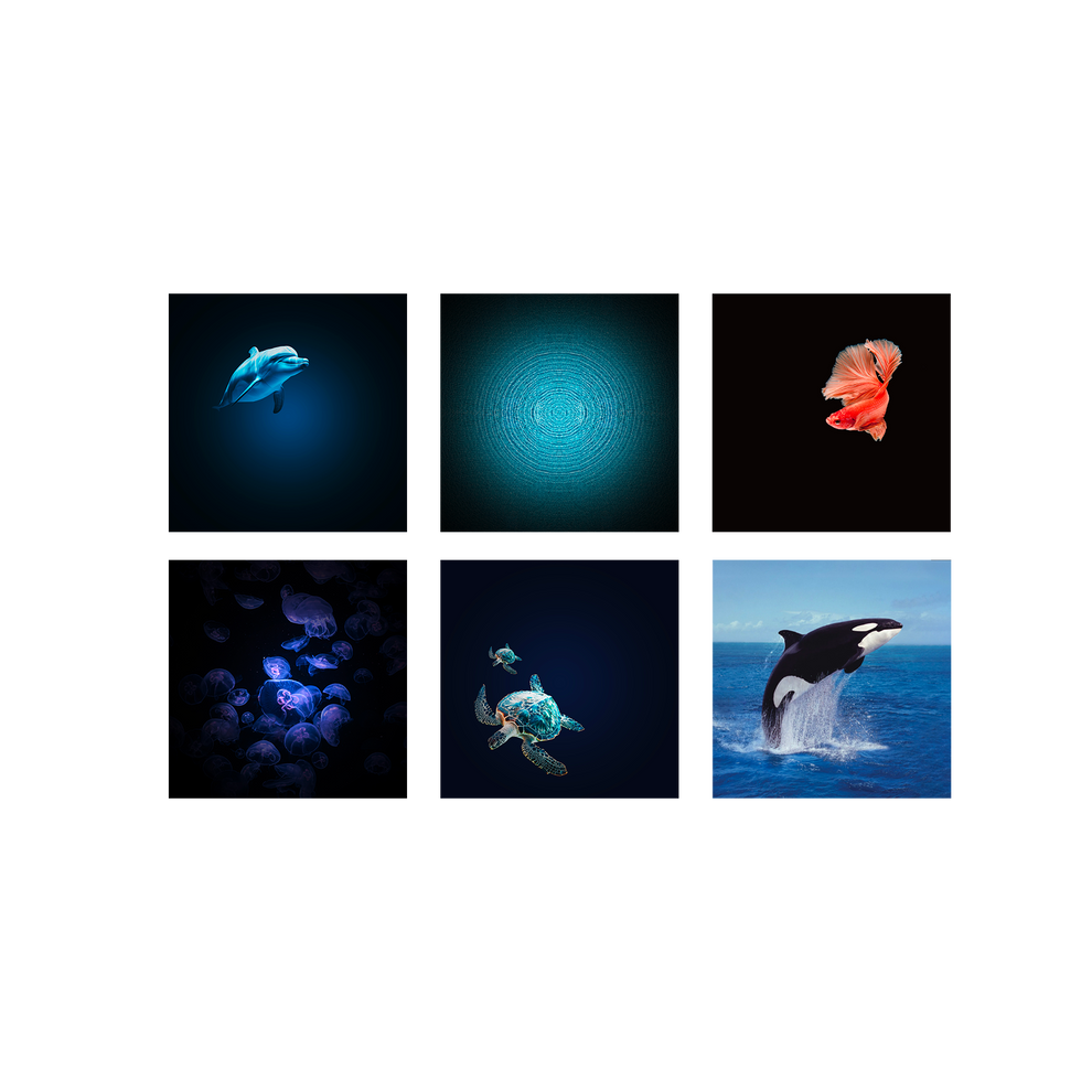 5407009182273-kidystar-oceans-et-mers--projecteur-dimages-avec-musique-et-rotation-kidywolf