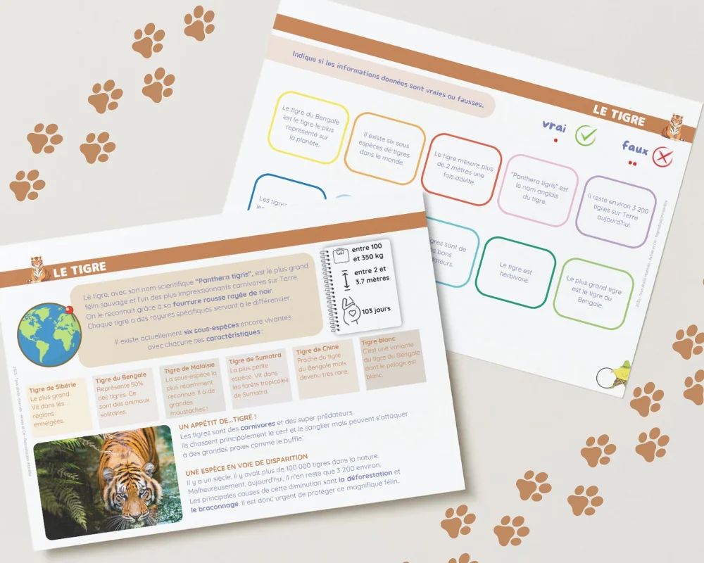 9782494341135-livret-les-animaux-sauvages-etoilium--decouvrir-la-faune-du-monde-des-8-ans
