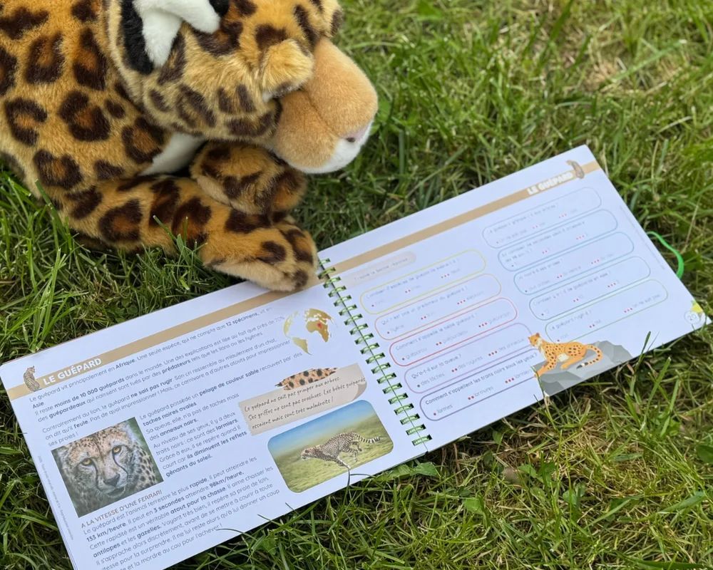 9782494341135-livret-les-animaux-sauvages-etoilium--decouvrir-la-faune-du-monde-des-8-ans