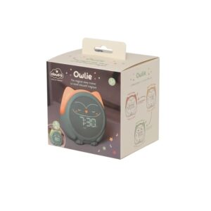 3700552320843-owlie--reveil-educatif-magique-enfant--cloud-b