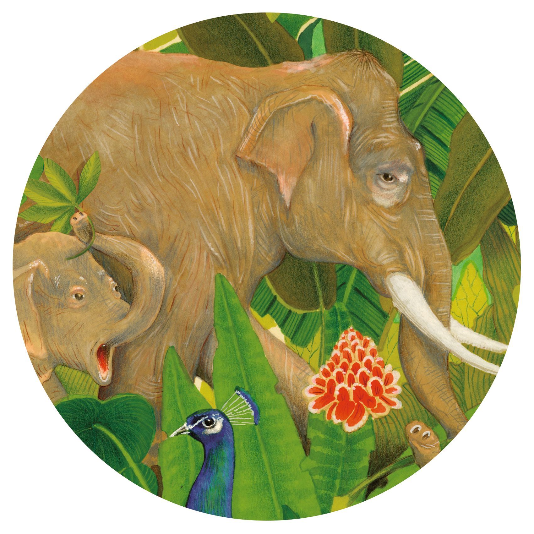 3070900076921-hidden-in-the-nature--puzzle-gallery-1000-pieces--djeco
