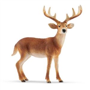 4055744029608-cerf-de-virginie-schleich-wild-life--figurine-realiste-danimal-sauvage