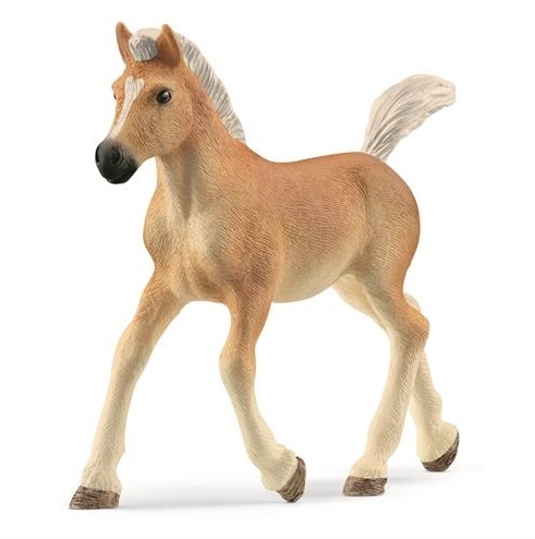 4059433557519-poulain-haflinger-schleich-horse-club--jeune-cheval-alezan-aux-crins-clairs