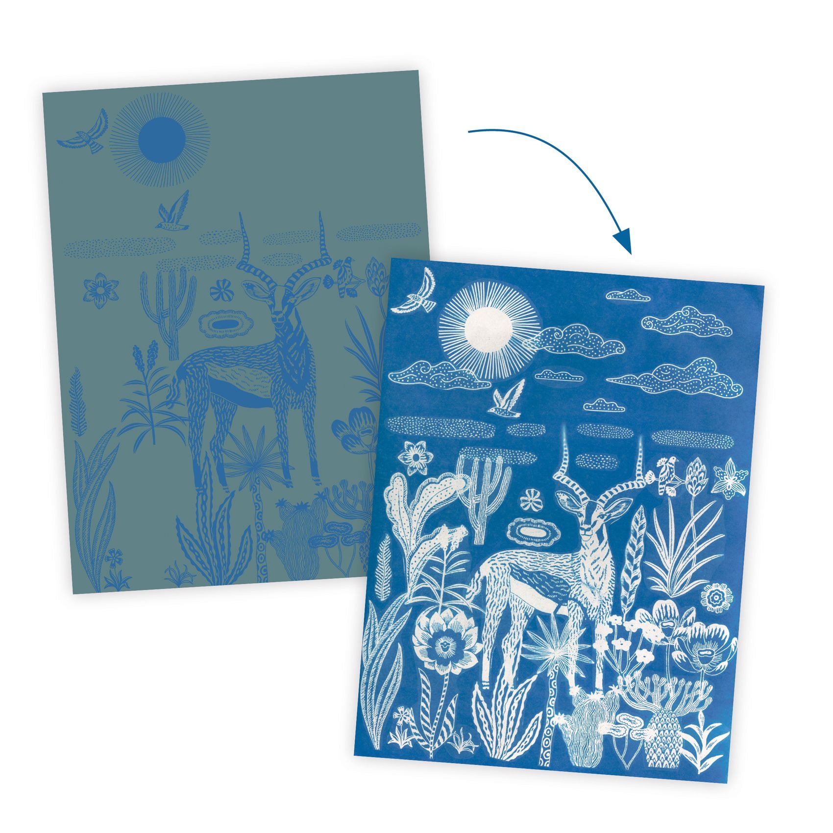 3070900093430-djeco-cyanotype-savane-nocturne--activite-photo-magique-des-7-ans