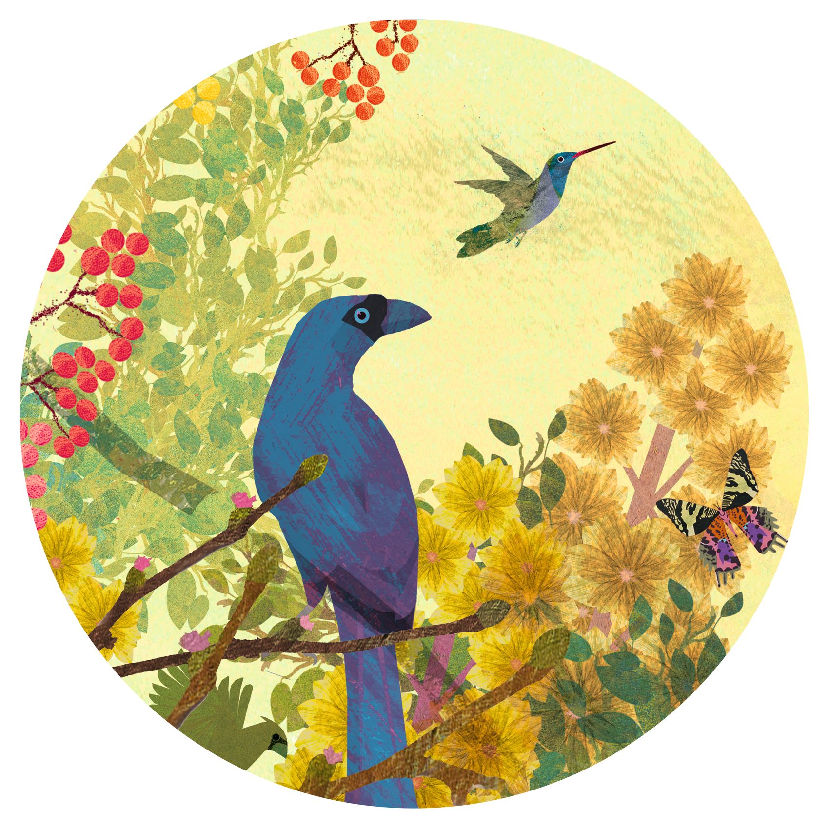 3070900076877-peaceful-birds--puzzle-gallery-1000-pieces-djeco-oiseaux