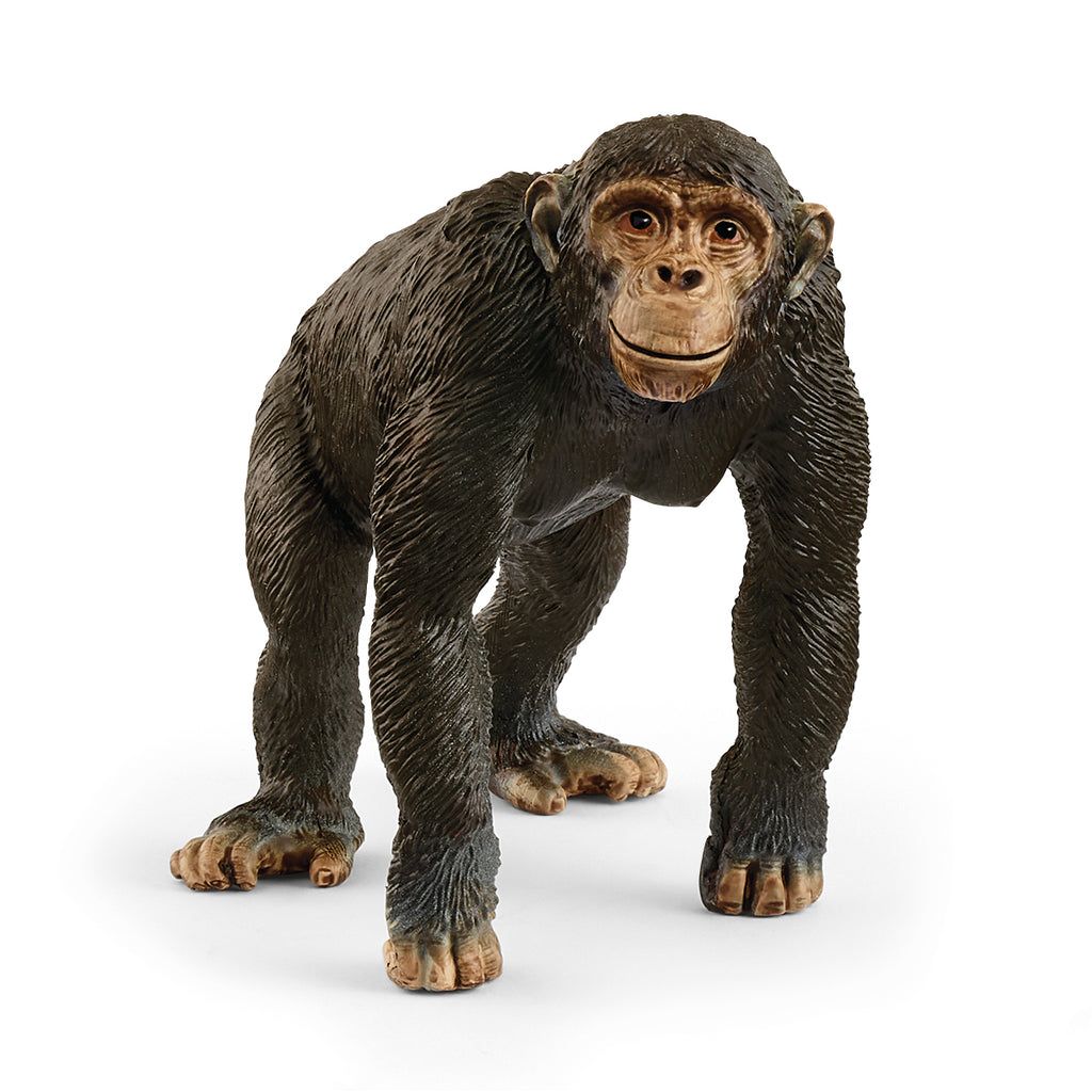 4059433762326-chimpanze-schleich-wild-life--figurine-realiste-de-primate